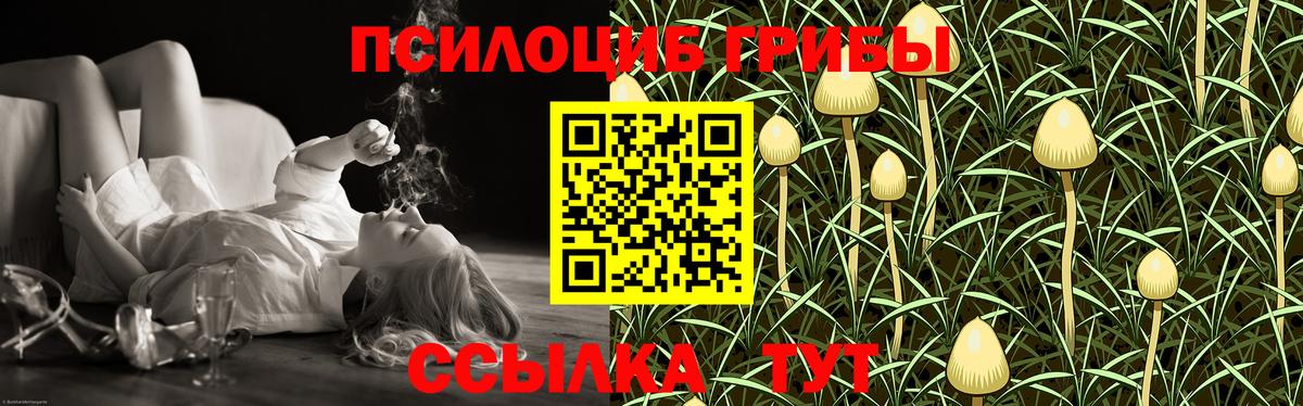 Луга  Псилоцибиновые грибы мицелий  Вход с VPN 